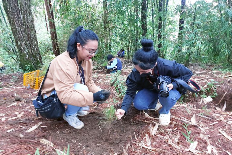 BCBC Tree planting3